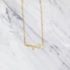 montajes collares web-04